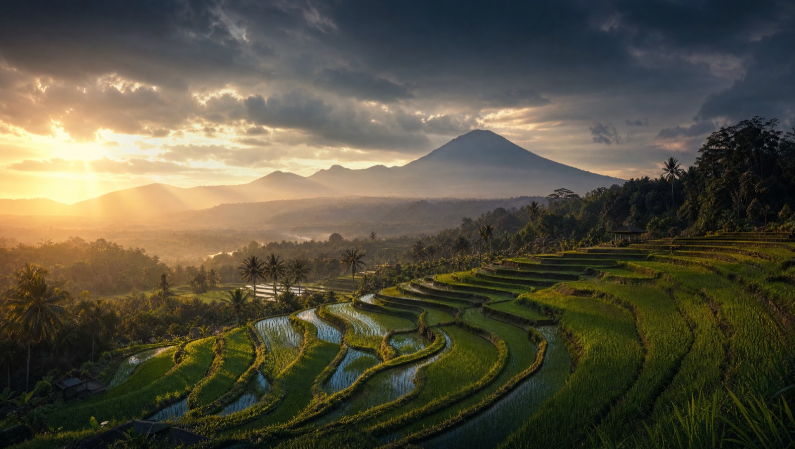 Emerald Bali rice terraces under a dramatic sky