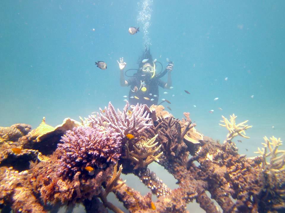 A scuba diver behind branching coral in clear shallow water off Pemuteran