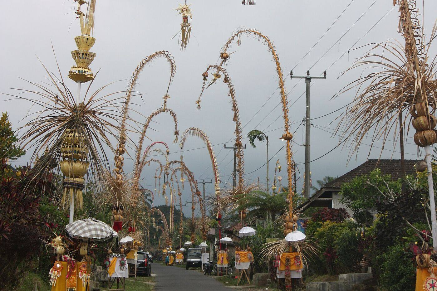 A village road near Lovina lined with penjor for Galungan, their curved tips arching over the lane